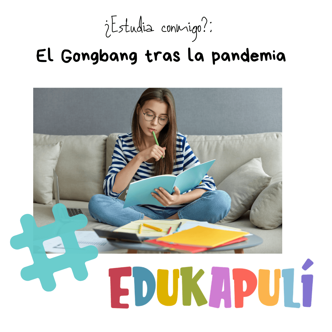 chica leyendo concentrada un libro